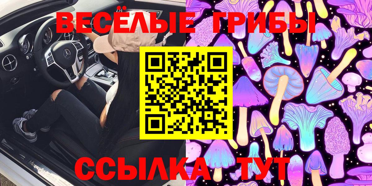 Протвино  Псилоцибиновые грибы ЛСД  Вход с VPN 